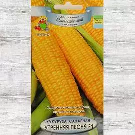 Кукуруза Утренняя песня F1