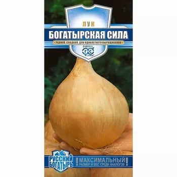 Лук репчатый Богатырская сила Гавриш