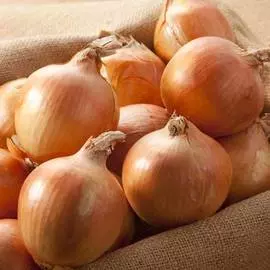 Лук репчатый Есаул F1