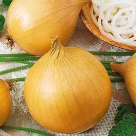 Лук репчатый Глобо