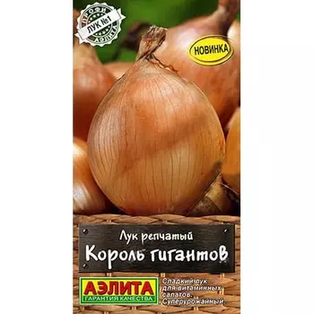 Лук репчатый Король гигантов Аэлита