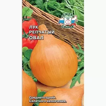 Лук репчатый Овал Седек