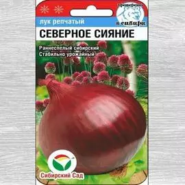 Лук репчатый Северное сияние