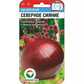 Лук репчатый Северное сияние Сибирский сад