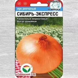 Лук репчатый Сибирь-экспресс