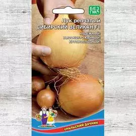 Лук репчатый Сибирский великан F1