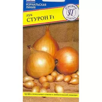 Лук репчатый Стурон F1 Престиж