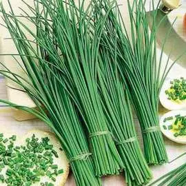 Лук шнитт Богемия