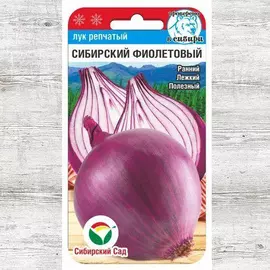 Лук Сибирский фиолетовый
