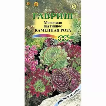 Молодило паутинное Каменная Роза, смесь окрасок Гавриш