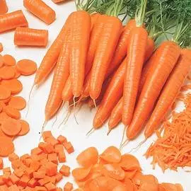 Морковь Флайвей F1