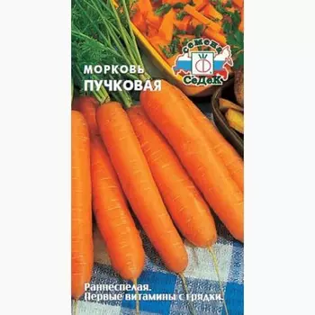 Морковь Пучковая Седек