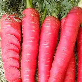 Морковь Рубиновая F1