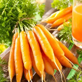 Морковь Восточная красавица
