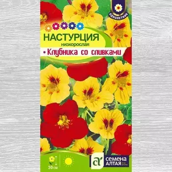 Настурция низкорослая Клубника со сливками
