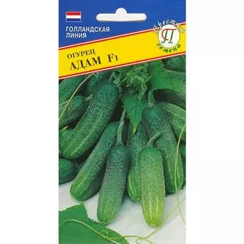 Огурец Адам F1 Престиж