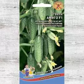 Огурец Амиго F1