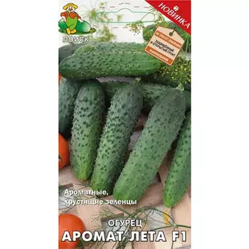 Огурец Аромат лета F1 Поиск