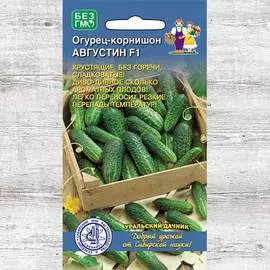 Огурец Августин F1