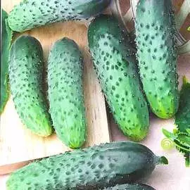 Огурец Азарт F1