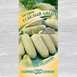 Огурец Белый ангел F1
