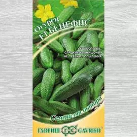 Огурец Бенефис F1