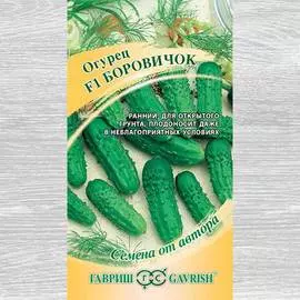 Огурец Боровичок F1