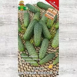 Огурец Дачный посол F1