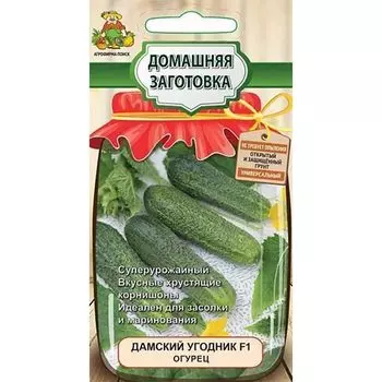 Огурец Дамский Угодник F1 Поиск