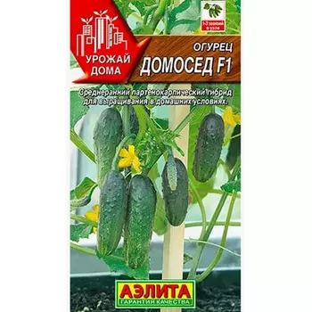 Огурец Домосед F1 Аэлита