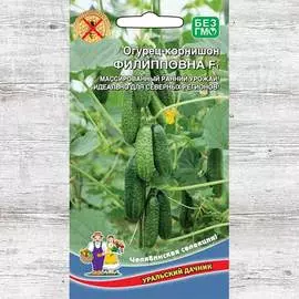 Огурец Филипповна F1