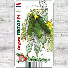 Огурец Гектор F1