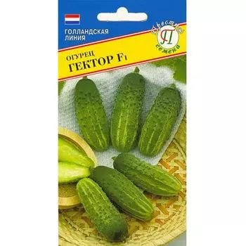 Огурец Гектор F1 Престиж