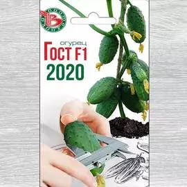 Огурец Гост 2020 F1. семена