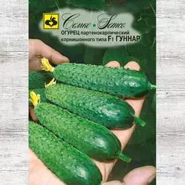 Огурец Гуннар F1