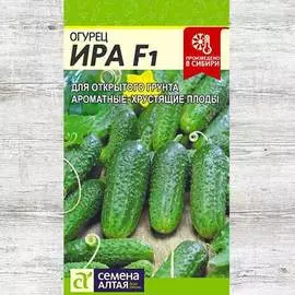 Огурец Ира F1
