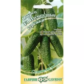 Огурец Изумрудные сережки F1