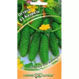 Огурец Кадриль F1