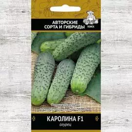 Огурец Каролина F1