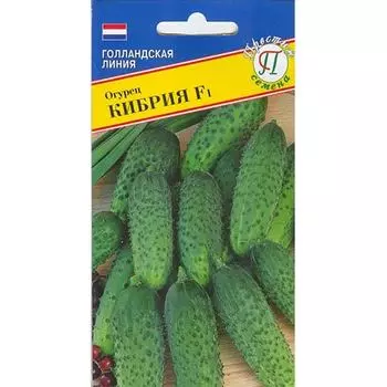 Огурец Кибрия F1 Престиж