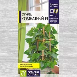 Огурец Комнатный F1