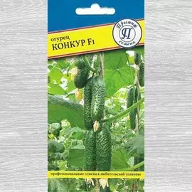 Огурец Конкур F1