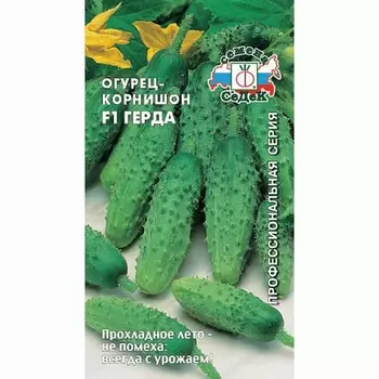 Огурец корнишон Герда F1 Седек