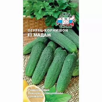 Огурец корнишон Мадам F1 Седек