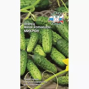 Огурец корнишон Микрон Седек