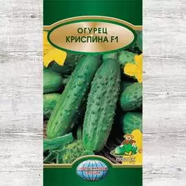 Огурец Криспина F1