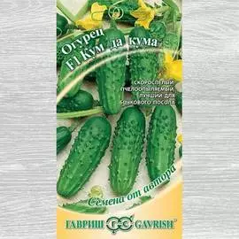 Огурец Кум да Кума F1