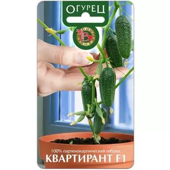 Огурец Квартирант F1 Биотехника