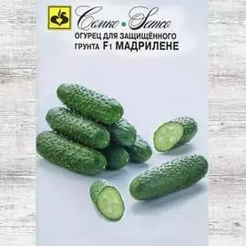 Огурец Мадрилене F1