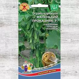 Огурец Маленький проказник F1